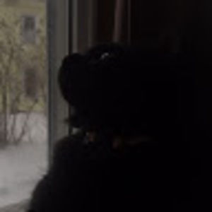 Meet your Posher, Adrian